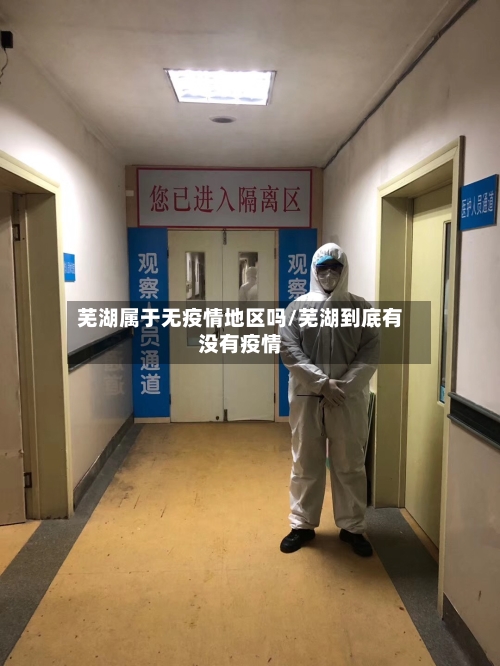 芜湖属于无疫情地区吗/芜湖到底有没有疫情-第2张图片