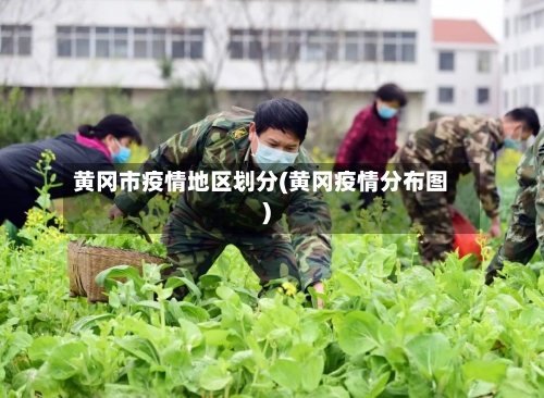 黄冈市疫情地区划分(黄冈疫情分布图)