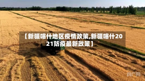 【新疆喀什地区疫情政策,新疆喀什2021防疫最新政策】