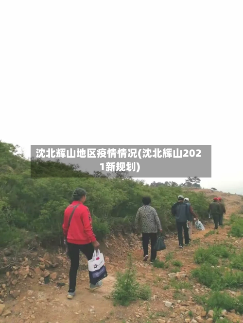 沈北辉山地区疫情情况(沈北辉山2021新规划)-第2张图片