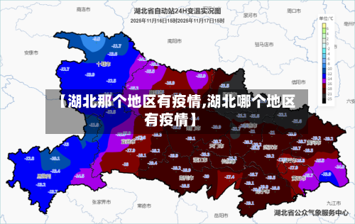 【湖北那个地区有疫情,湖北哪个地区有疫情】-第3张图片