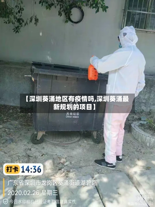 【深圳葵涌地区有疫情吗,深圳葵涌最新规划的项目】-第3张图片