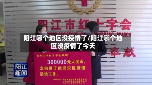 阳江哪个地区没疫情了/阳江哪个地区没疫情了今天-第3张图片