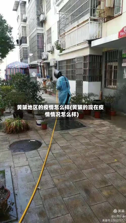 黄陂地区的疫情怎么样(黄陂的现在疫情情况怎么样)