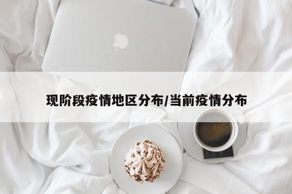 现阶段疫情地区分布/当前疫情分布