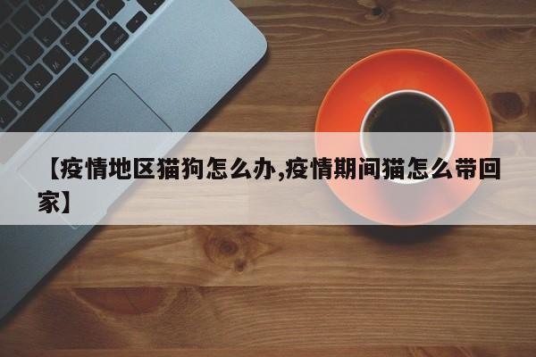 【疫情地区猫狗怎么办,疫情期间猫怎么带回家】